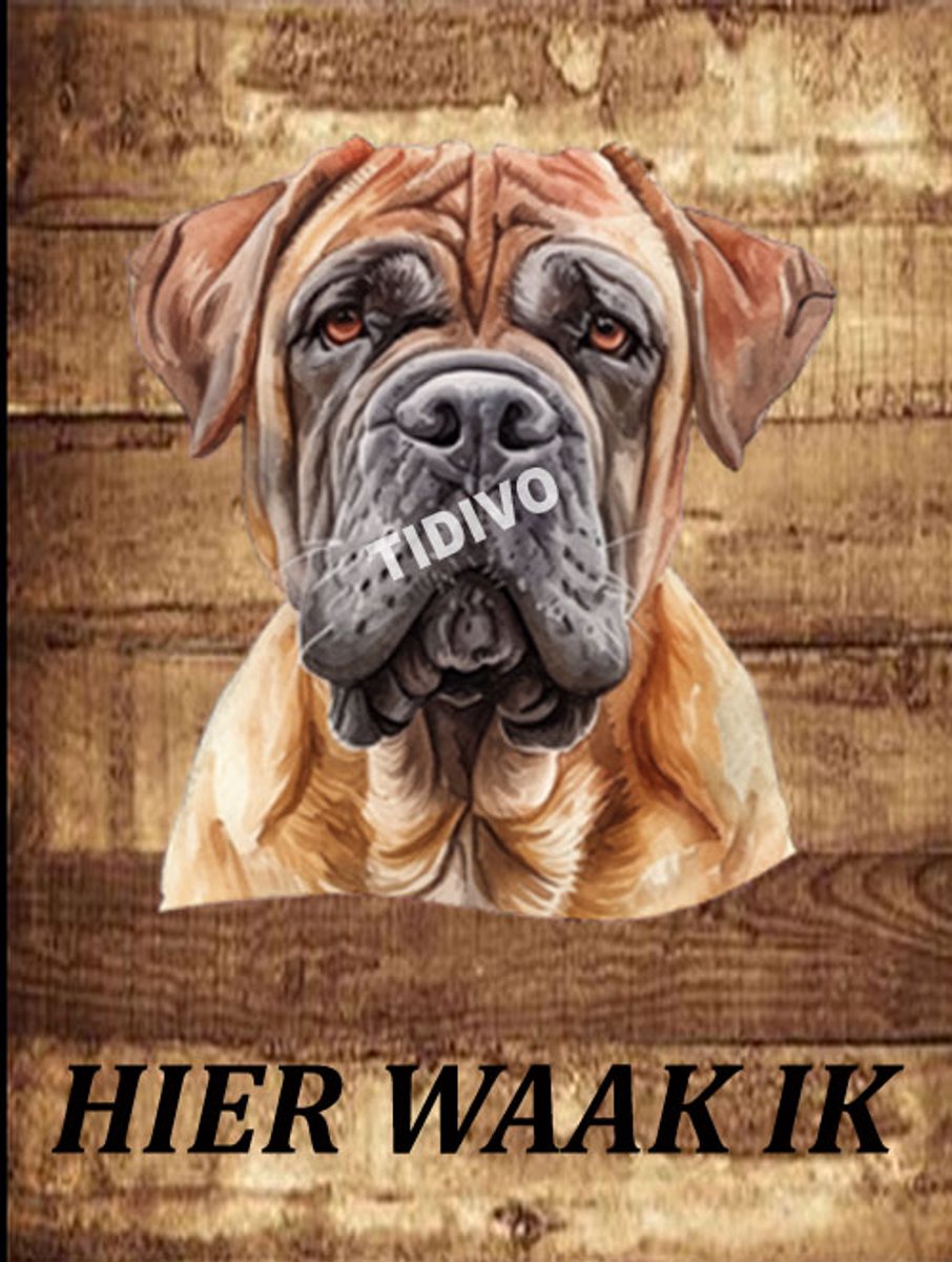Kurdish Mastiff 20