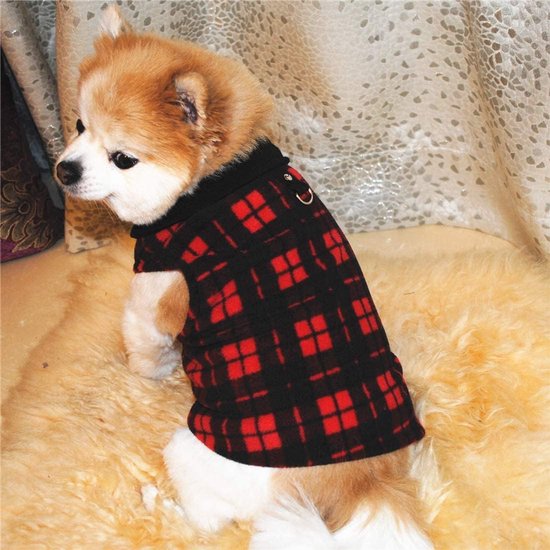 Hondje in rood met zwart geblokte trui met zwarte coltrui en een zilveren ring.