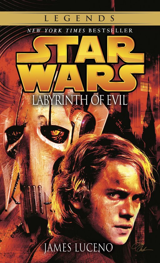 Labyrinth of Evil: Star Wars - cover