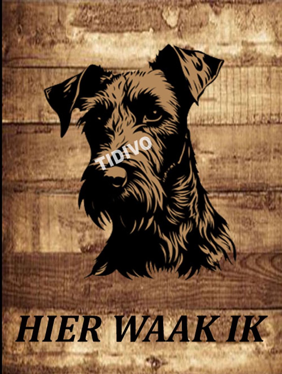 Ierse Terrier 20