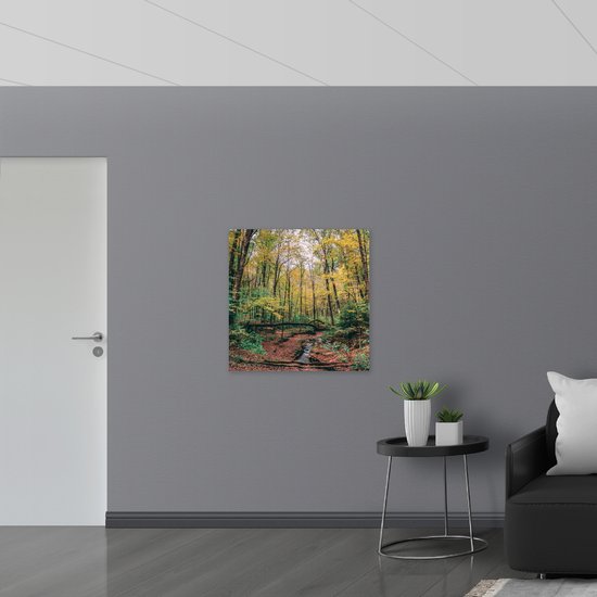 Poster Glanzend – Omgevallen bomen over Rivier - 80x80 cm Foto op Posterpapier met Glanzende Afwerking