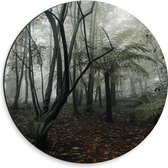 WallClassics - Dibond Muurcirkel - Mistig Bos - 30x30 cm Foto op Aluminium Muurcirkel (met ophangsysteem)
