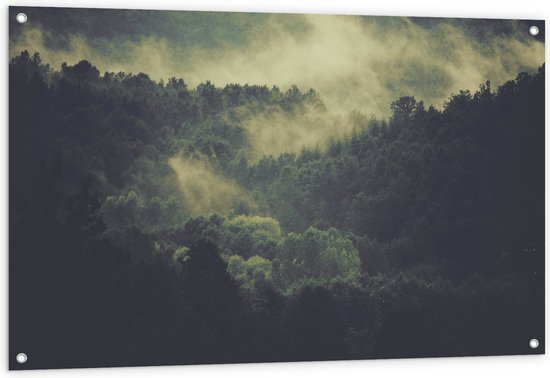 WallClassics - Tuinposter – Mist boven Boomtoppen - 120x80 cm Foto op Tuinposter  (wanddecoratie voor buiten en binnen)