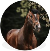 WallCircle - Wandcirkel ⌀ 90 - Paard - Takken - Portret - Ronde schilderijen woonkamer - Wandbord rond - Muurdecoratie cirkel - Kamer decoratie binnen - Wanddecoratie muurcirkel - Woonaccessoires