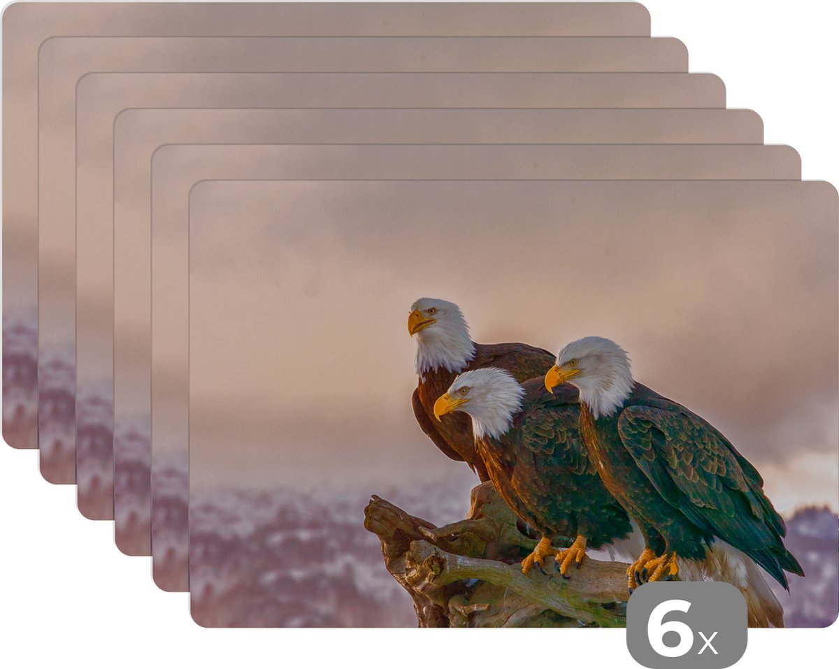 Placemat - Placemats kunststof - Vogels - Natuur - Roofvogels - Arend - 45x30 cm - 6 stuks - Hittebestendig - Anti-Slip - Onderlegger - Afneembaar