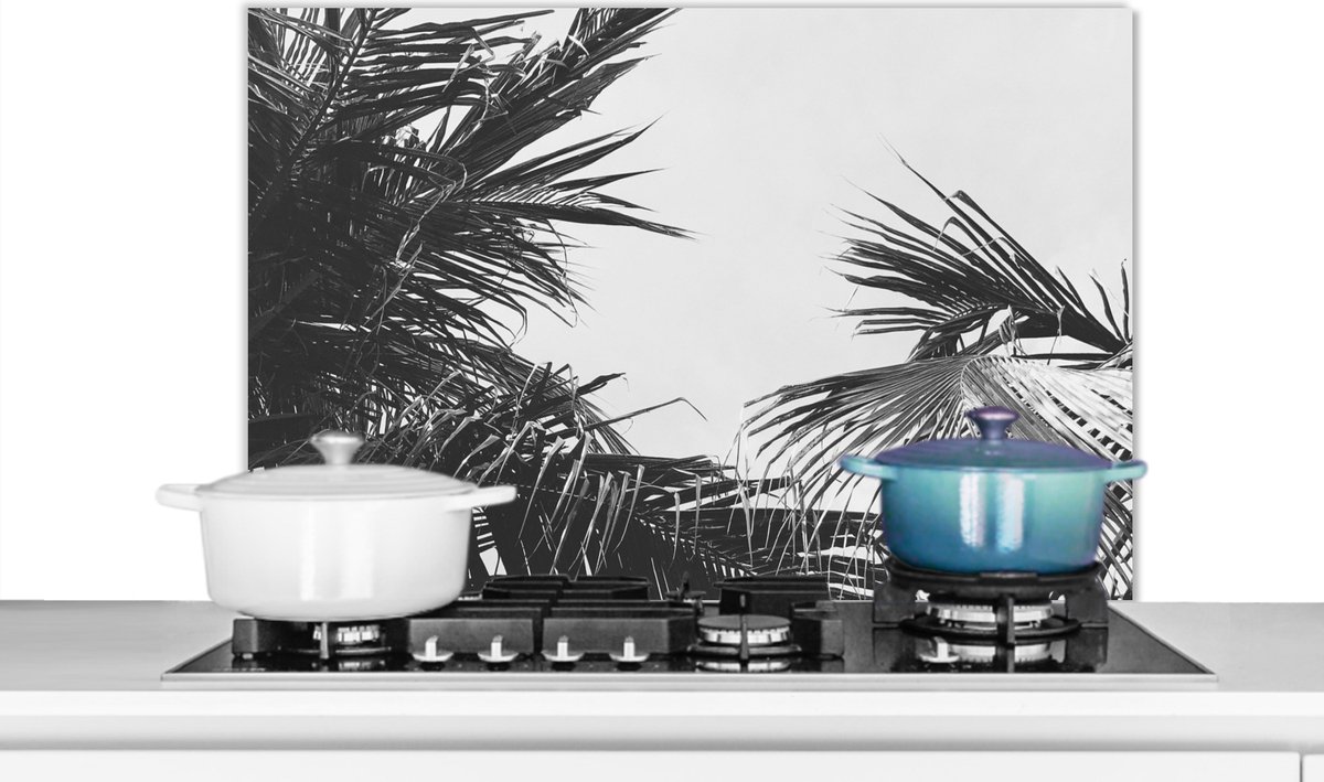 Spatscherm - Palmboom - Natuur - Zwart wit - Bladeren - Keuken - Spatwand- 90x60 cm