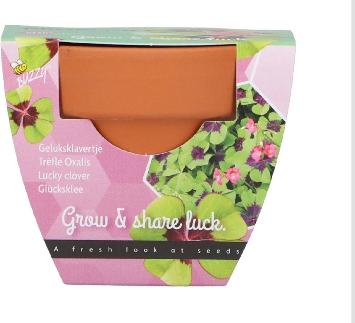 Grow gift "lucky clover" - 30 stuks