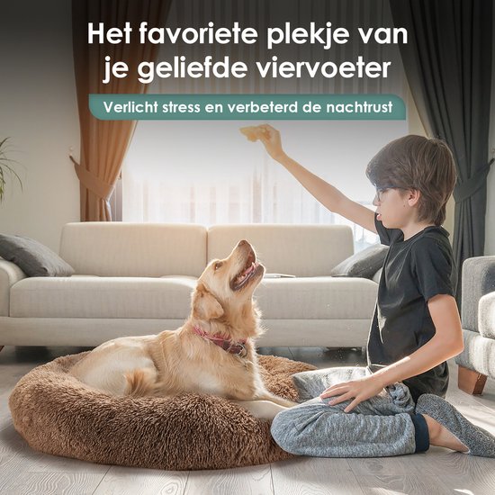 Golden retriever ligt op een ronde, beige, pluizige hondenmand, terwijl een jongen hem voert.