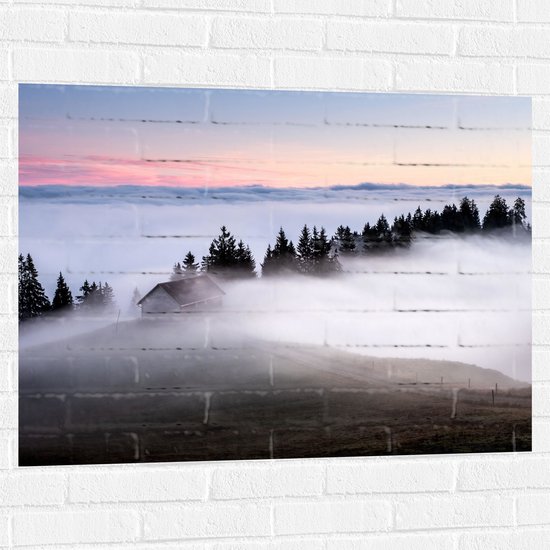 WallClassics - Muursticker - Boomtoppen boven Mistlaag - 100x75 cm Foto op Muursticker
