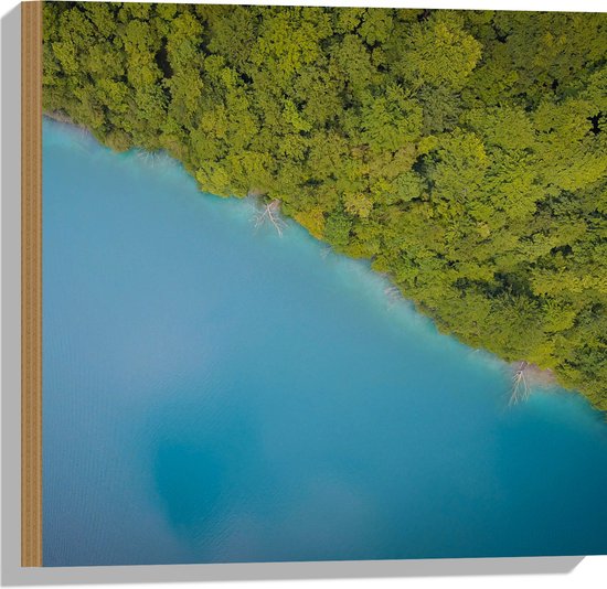 WallClassics - Hout - Blauwe Zee Vanuit de Lucht - 50x50 cm - 12 mm dik - Foto op Hout (Met Ophangsysteem)