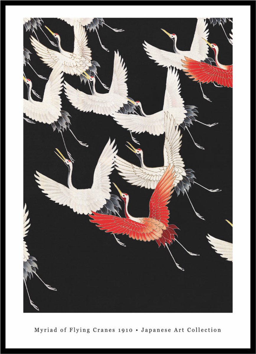 Esque Poster Kraanvogels - Large 30x40 - Japanse Kunst - Moderne Print Losse Poster