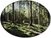 WallClassics - Dibond Ovaal - Bomen op Helling van Berg - 40x30 cm Foto op Ovaal (Met Ophangsysteem)