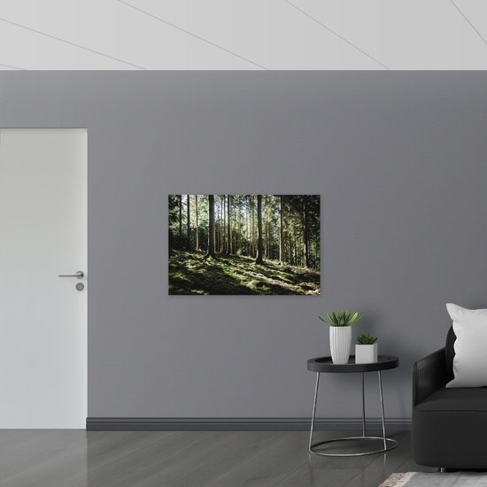 WallClassics - Drapeau - Arbres sur Pente de Berg - 105x70 cm Photo sur Drapeau Polyester
