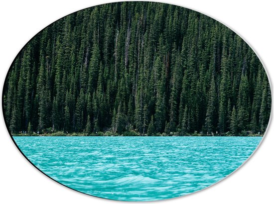 WallClassics - Dibond Ovaal - Blauw Meer aan Groene Bosrand - 40x30 cm Foto op Ovaal (Met Ophangsysteem)