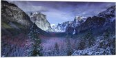 WallClassics - Vlag - Besneeuwde Bergen met Bomen en Rotsen - 100x50 cm Foto op Polyester Vlag