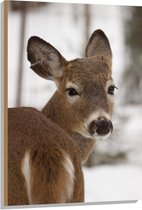 WallClassics - Hout - Hertje in de Sneeuw - 70x105 cm - 12 mm dik - Foto op Hout (Met Ophangsysteem)