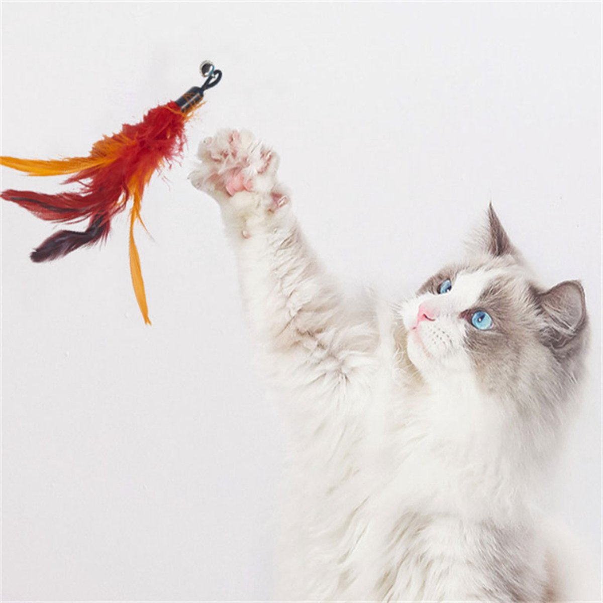 Kattenhengel met 10 opzetstukjes - Kat Speelhengel met Veren - Speelgoed Hengel voor Katten – Kittenspeeltjes met Veer – Kattenspeelgoed – Katten speeltjes thumbnail 6