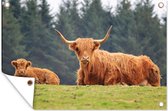 Muurdecoratie Schotse hooglander - Zon - Gras - 180x120 cm - Tuinposter - Tuindoek - Buitenposter