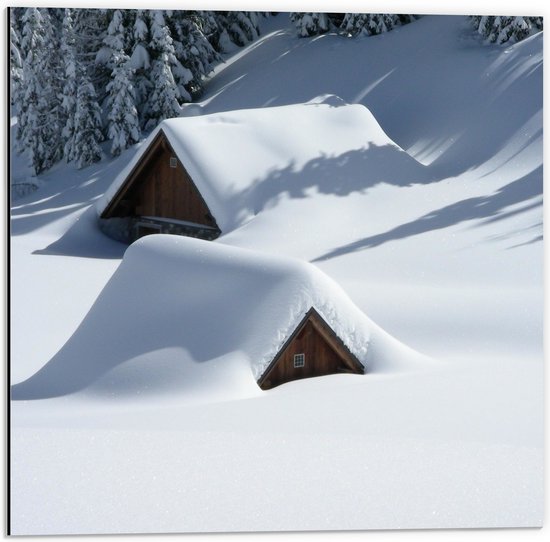 WallClassics - Dibond - Ondergesneeuwde Huisjes met Daken - 50x50 cm Foto op Aluminium (Met Ophangsysteem)