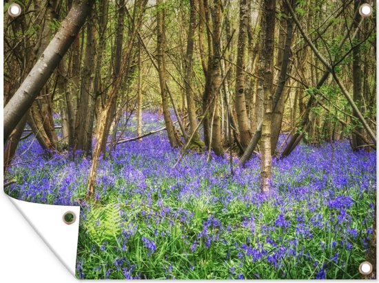 Foto: Muurdecoratie buiten tapijt van sterhyacinten in een bos 160x120 cm tuindoek buitenposter