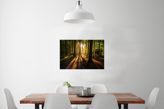 Affiche Soleil - Arbres - Forêt - Paysage - Nature - 90x60 cm