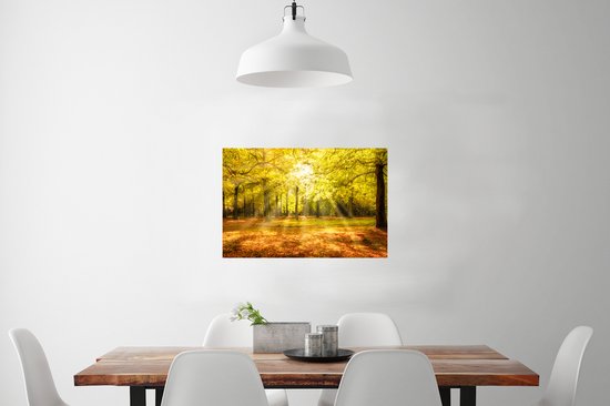 Affiche Arbre - Nature - Soleil - Paysage - Forêt - 90x60 cm