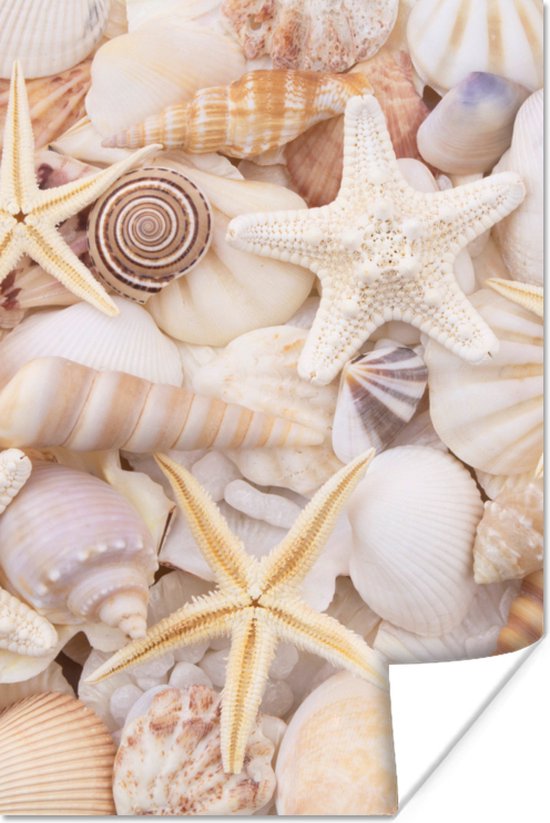 Torchon à Vaisselle Réutilisable En Fibre Absorbante épaisse Pour Le