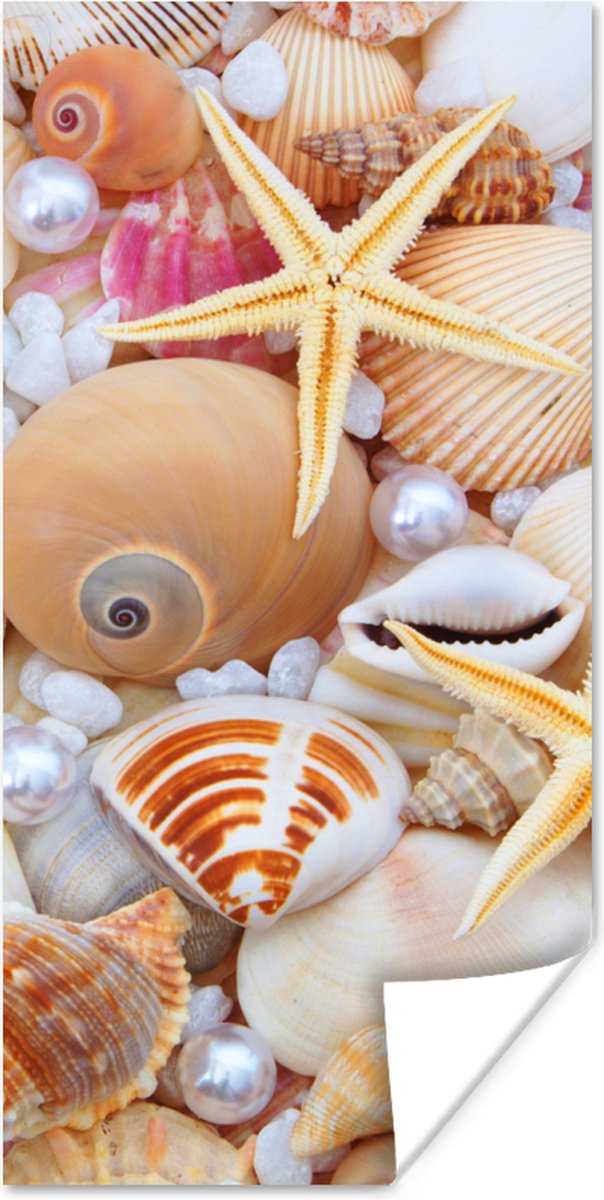 Poster Schelpen - Parels - Zeesterren - Strand - 20x40 cm