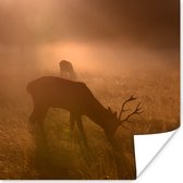 Cerf paissent dans un champ brumeux 30x30 cm