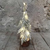 Kerstboom met sneeuw en 10 lichtjes 30 cm