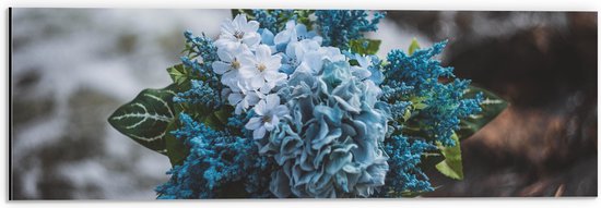 WallClassics - Dibond - Foto van een Klein Boeket met Witte en Blauwe Bloemen - 60x20 cm Foto op Aluminium (Wanddecoratie van metaal)