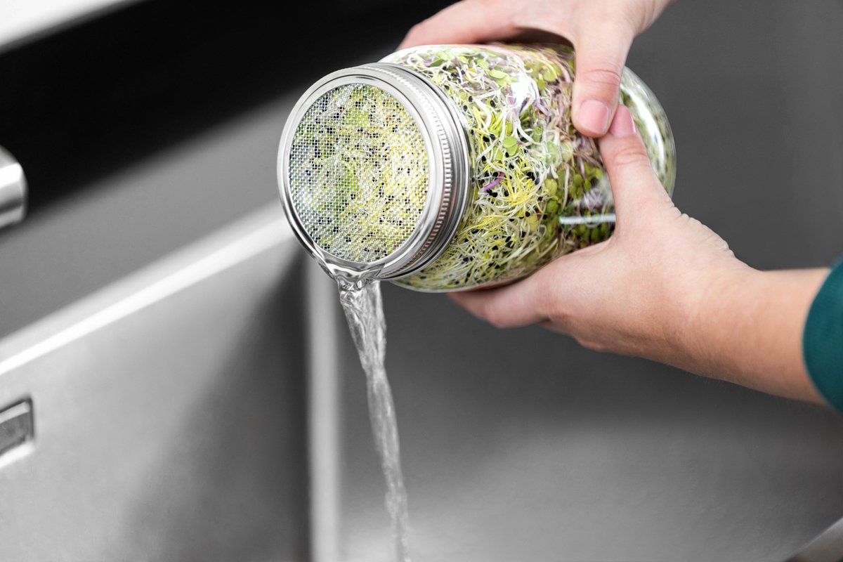 Kos Design Kiempotten - XL - RVS - Kiemschaaltje - Kiemglas - Kiemzaden - Kiemtoren - Kiemgroente - Vaatwasser Bestendig - 2 X 1000 ML Potten - Kiemdeksel — afbeelding 7