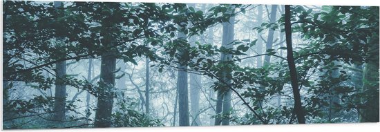 WallClassics - PVC Schuimplaat - Lichte Mist in een Groen Bos - 150x50 cm Foto op PVC Schuimplaat (Met Ophangsysteem)