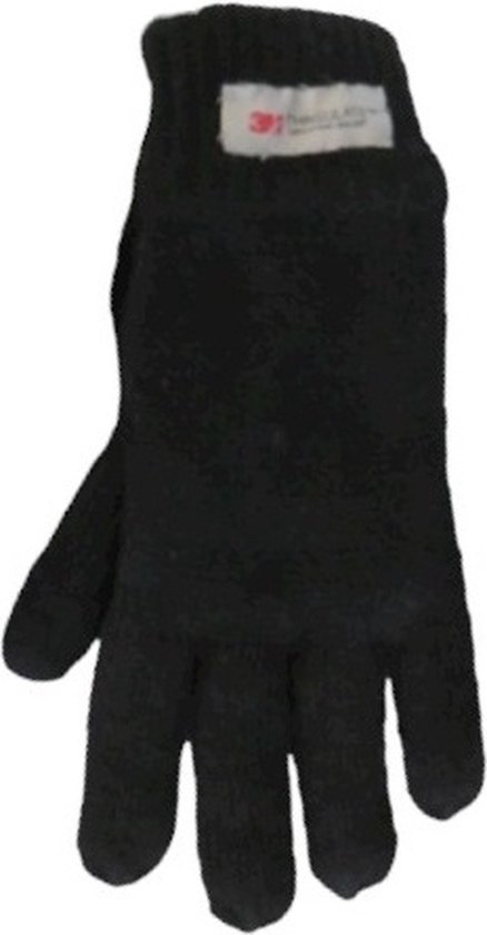 Handschoenen heren winter 3M Thinsulate - Thinsulate todowebshop