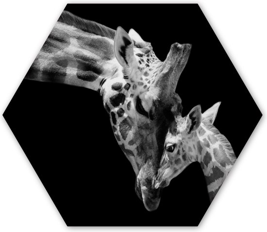 Hexagon wanddecoratie - Kunststof Wanddecoratie - Hexagon Schilderij - Giraffe - Wilde dieren - Portret - Zwart wit - 120x103 cm
