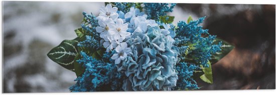 WallClassics - Acrylglas - Foto van een Klein Boeket met Witte en Blauwe Bloemen - 120x40 cm Foto op Acrylglas (Wanddecoratie op Acrylaat)