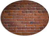 WallClassics - PVC Schuimplaat Ovaal - Stenen Muur Bruin - 96x72 cm Foto op Ovaal  (Met Ophangsysteem)