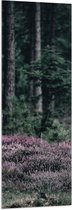 WallClassics - Acrylglas - Paarse Bloemen bij Bomen - 50x150 cm Foto op Acrylglas (Met Ophangsysteem)