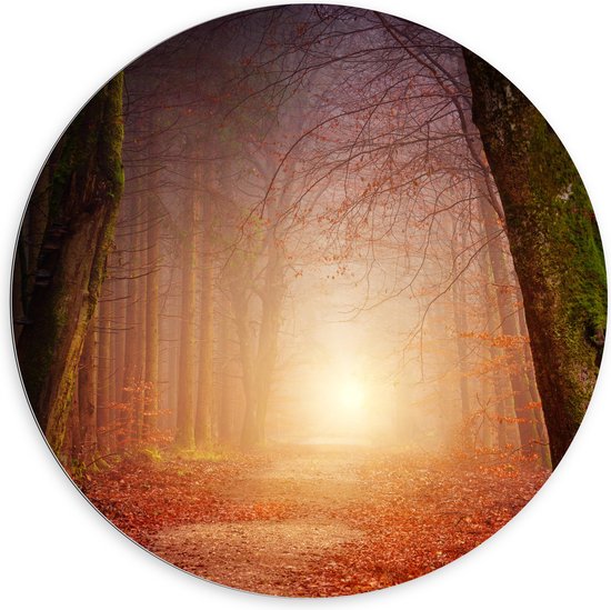 WallClassics - Dibond Wall Circle - Lumière au Bout d'un Chemin Forestier Brumeux - Photo 100x100 cm sur Aluminium Wall Circle (avec système d'accrochage)