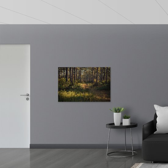 WallClassics - Drapeau - Chemin entre Arbres et Herbe Verte - 105x70 cm Photo sur Drapeau Polyester