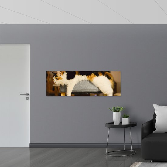 Dibond - Bruin/Zwart Gevlekte Kat uitgestrekt over Poef - 150x50 cm Foto op Aluminium (Wanddecoratie van metaal)