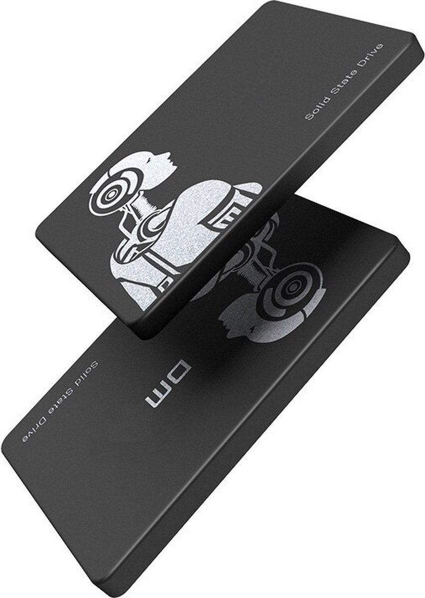 LUXWALLET DMF5 - Interne 256GB SSD 2.5 Inch SATA3 (6Gbps) - 3D Nand - NVME - Interne Solid State Drive Harde Schijf