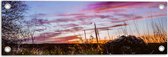 WallClassics - Tuinposter – Roze Wolken in de Lucht - 60x20 cm Foto op Tuinposter  (wanddecoratie voor buiten en binnen)