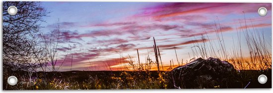 WallClassics - Tuinposter – Roze Wolken in de Lucht - 60x20 cm Foto op Tuinposter  (wanddecoratie voor buiten en binnen)