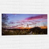 WallClassics - Muursticker - Roze Wolken in de Lucht - 100x50 cm Foto op Muursticker