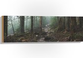 WallClassics - Hout - Beekje door het Bos - 90x30 cm - 12 mm dik - Foto op Hout (Met Ophangsysteem)