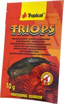 Tropical Triops 10 gr