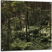 WallClassics - Tuinposter – Groen Oerwoud - 100x100 cm Foto op Tuinposter  (wanddecoratie voor buiten en binnen)