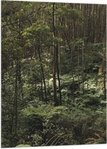WallClassics - Drapeau - Jungle Verte - 70x105 cm Photo sur Drapeau Polyester