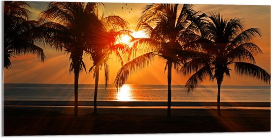 WallClassics - Acrylglas - Palmbomen op het Strand bij Zonsondergang - 100x50 cm Foto op Acrylglas (Wanddecoratie op Acrylaat)